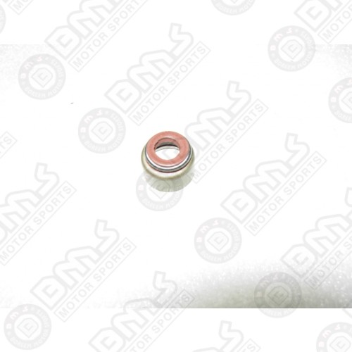 Valve Seal