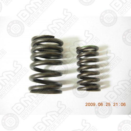 Inlet Spring