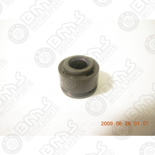 Valve Seal