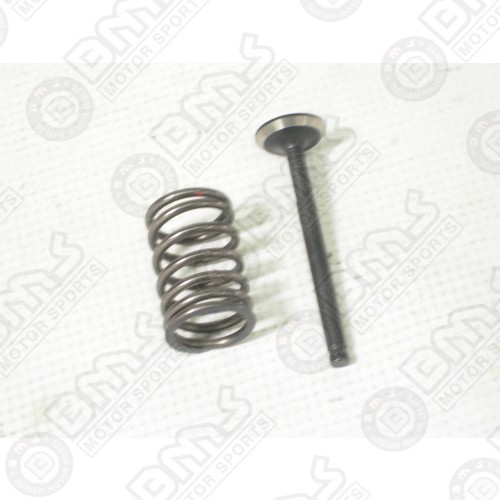 Intake valve