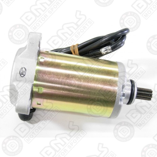 Starter motor assembly