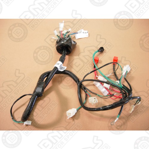 Wire harness, main