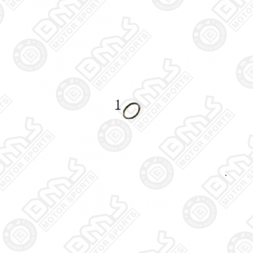 O-RING