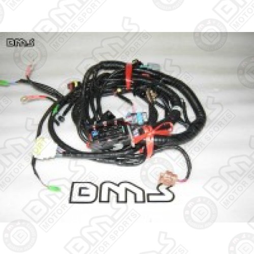 Engine Wiring Harness