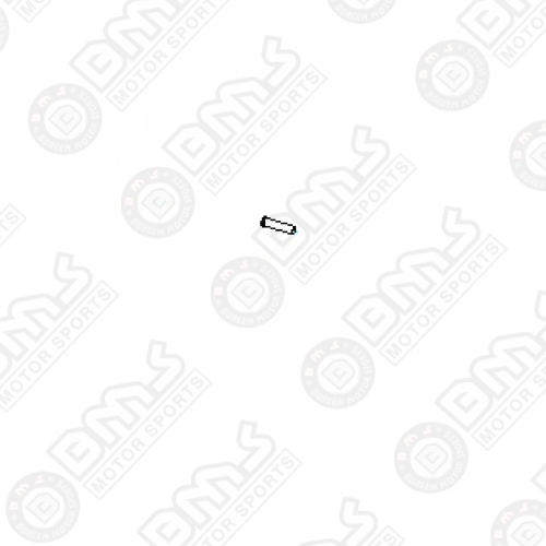 PIN
