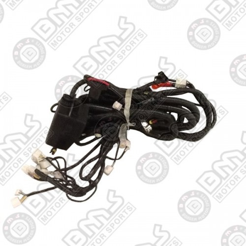 ENGINE HARNESS