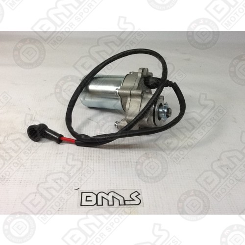 Starter Motor Assy