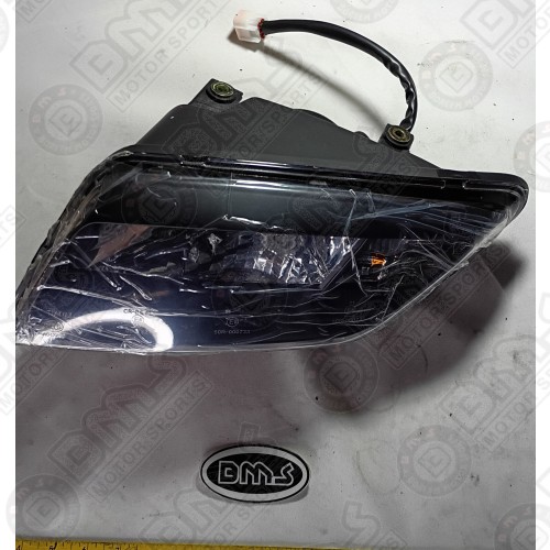 LIGHT ASSY.,HEAD drivers side