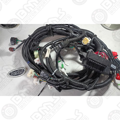 Main Wire Harness