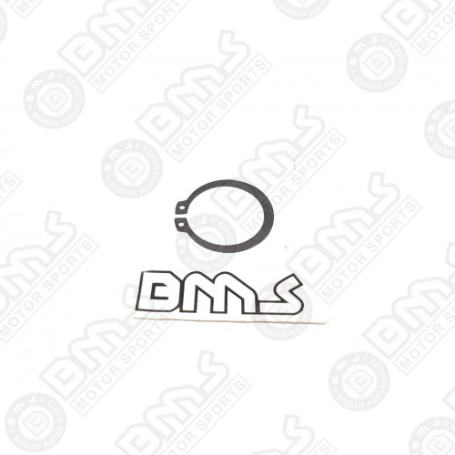 rear knuckle bearing ring