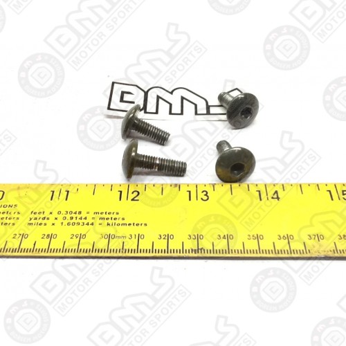 4 PCS SET, HINGE HOLDER SCREW