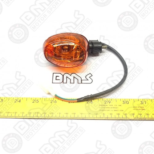 left rear turn signal (CLEAR LENS)