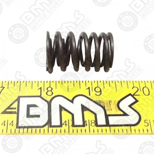 Valve spring