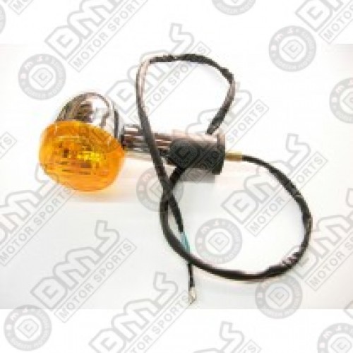 REAR LEFT & RIGHT TURN SIGNAL ASSSEMBLY