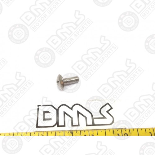 SCREW SPECIAL 6*16 S