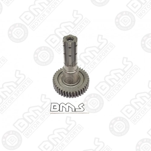 Output shaft