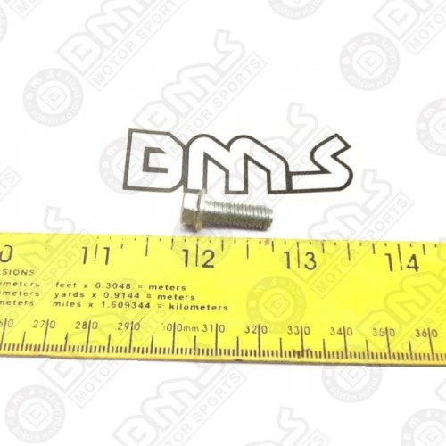 VALVE INSPECTION CAP BOLT