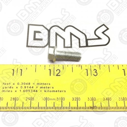 VALVE INSPECTION CAP BOLT