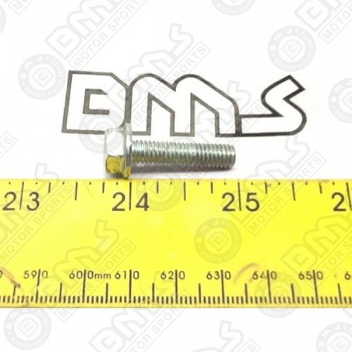 BOLT, MAGNETO COVER CAP