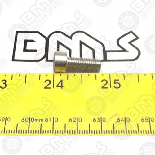 SCREW M6 16
